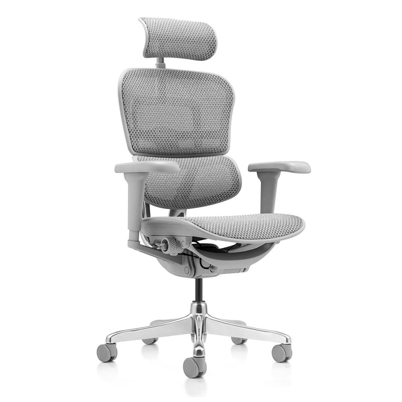 Ergohuman Ultra Ergonomic Office Chair