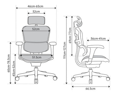 Ergohuman Project 2.0 S Ergonomic Office Chair