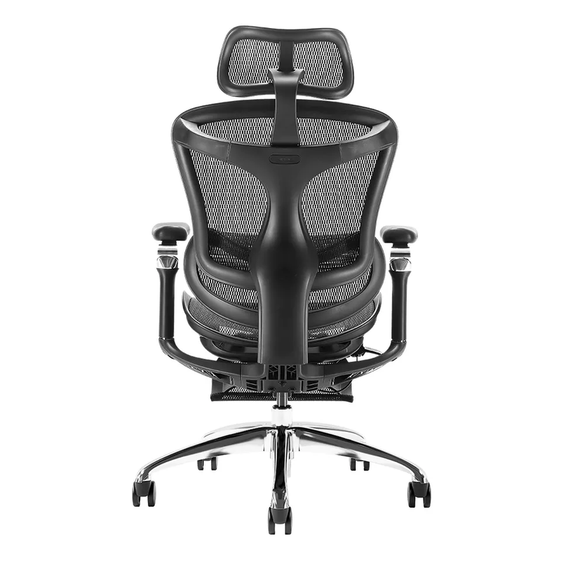 Sihoo A3 Doro C300 Executive Ergonomic Office Mesh Chair With Footrest