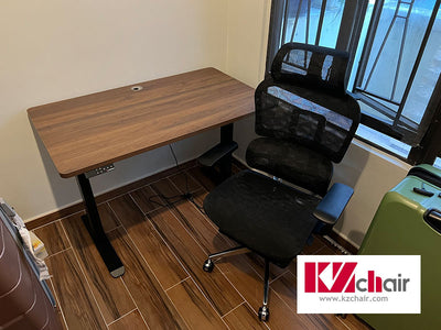 What is the difference between a single back and a double back in an ergonomic chair?