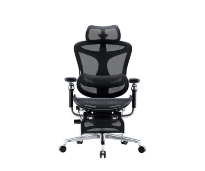 Sihoo Doro C500 Executive Ergonomic Office Mesh Chair