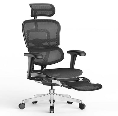 Ergohuman Project 2.0 S Ergonomic Office Chair