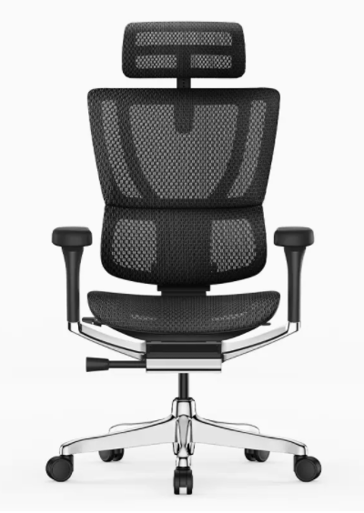 Ergohuman IOO Elite 2.0 Carlos Ergonomic Office Chair