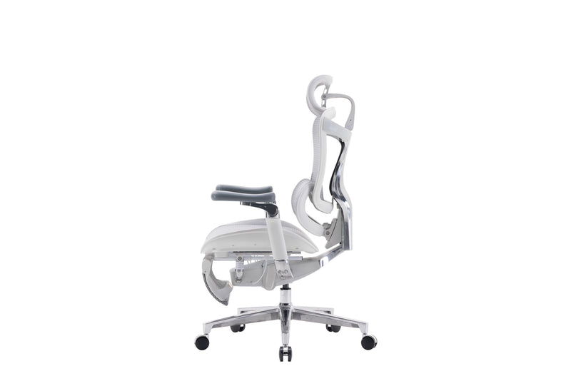 Sihoo Doro C500 Executive Ergonomic Office Mesh Chair