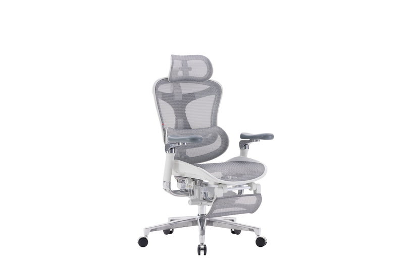 Sihoo Doro C500 Executive Ergonomic Office Mesh Chair