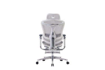 Sihoo Doro C500 Executive Ergonomic Office Mesh Chair