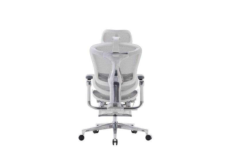 Sihoo Doro C500 Executive Ergonomic Office Mesh Chair