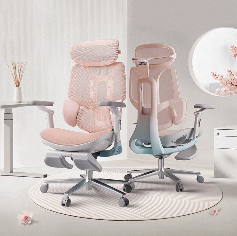HBADA E3 4.0 Pro  Ergonomic Office Chair (cherry blossoms)