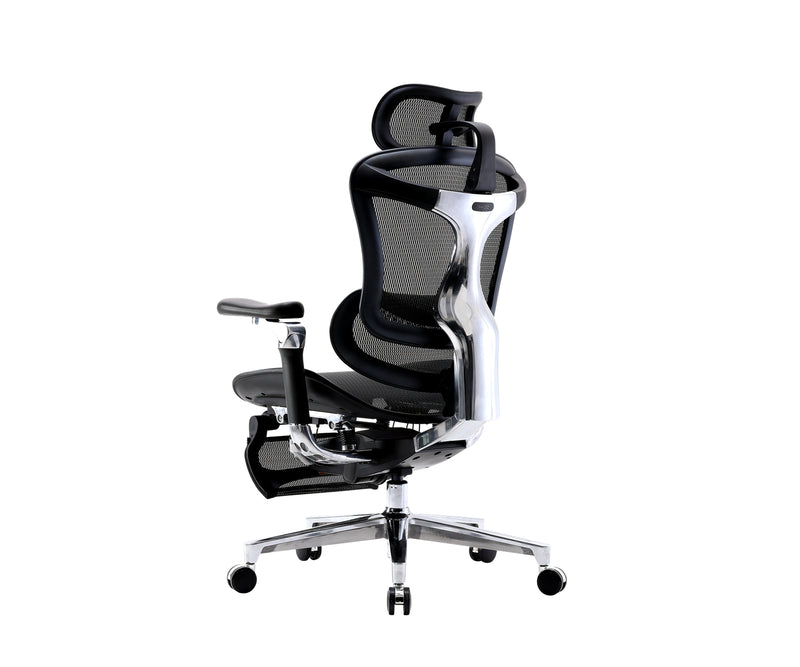 Sihoo Doro C500 Executive Ergonomic Office Mesh Chair