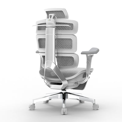 Ergomax Evolution2 Plus ergonomic office chair