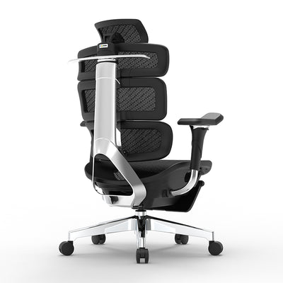 Ergomax Evolution2 Plus ergonomic office chair