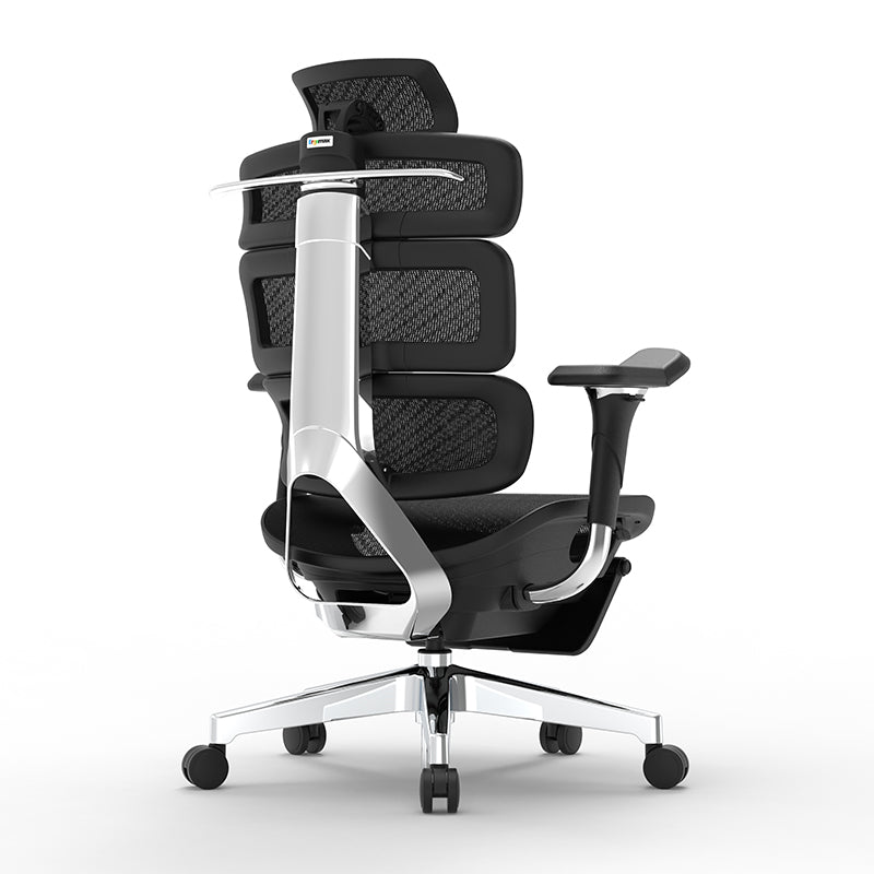 Ergomax Evolution2 Plus ergonomic office chair