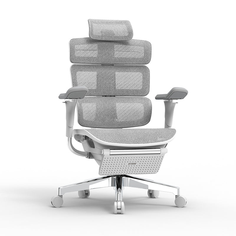 Ergomax Evolution2 Plus ergonomic office chair