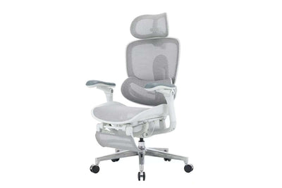 Sihoo Doro C300Pro ultra Executive Ergonomic Office Mesh Chair