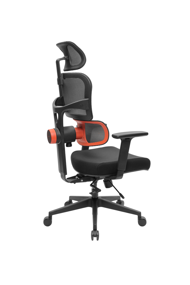 NEWTRAL NT001 Ergonomic Chair Office Chair