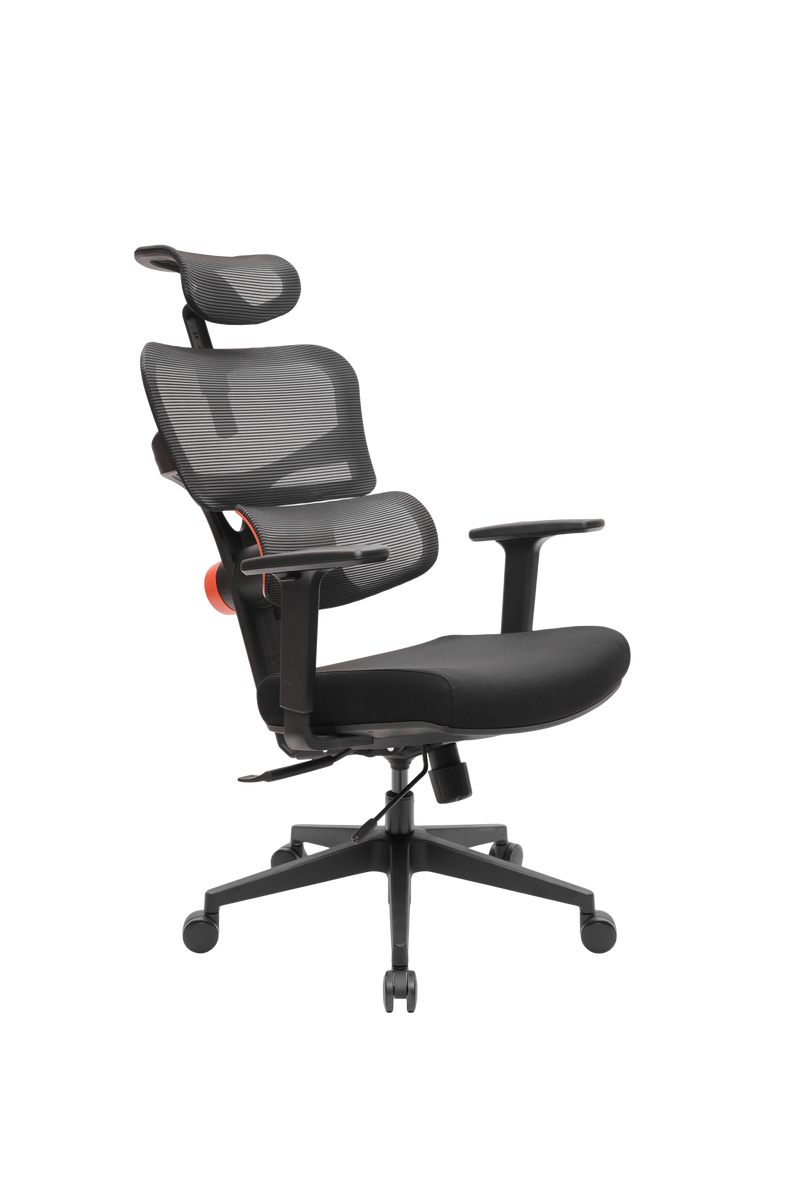 NEWTRAL NT001 Ergonomic Chair Office Chair