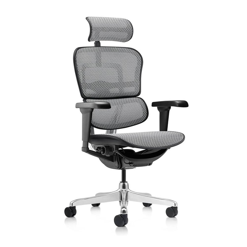 Ergohuman Ultra Ergonomic Office Chair