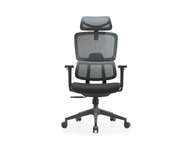 Szeeo Ergonomic Office Chair-186M (Cushion)