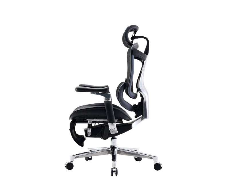 Sihoo Doro C500 Executive Ergonomic Office Mesh Chair