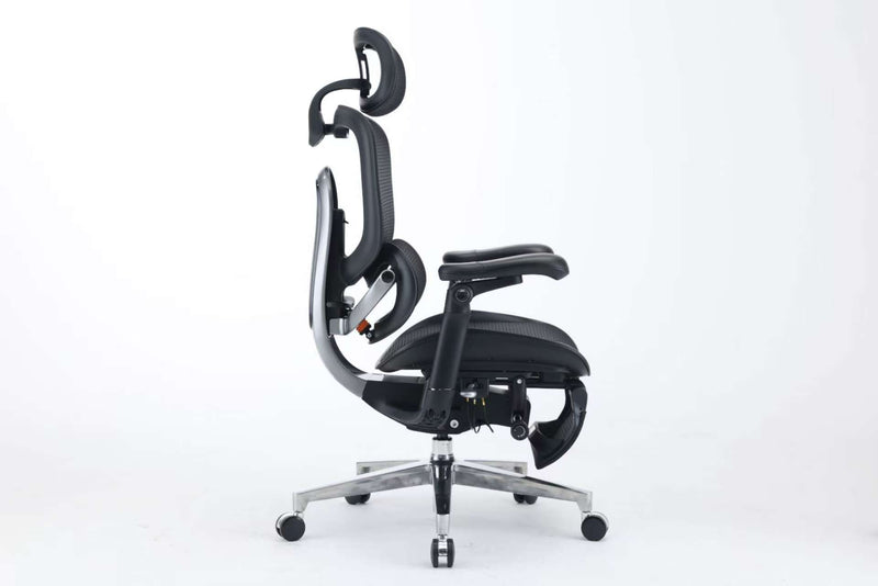 Sihoo Doro C300Pro ultra Executive Ergonomic Office Mesh Chair