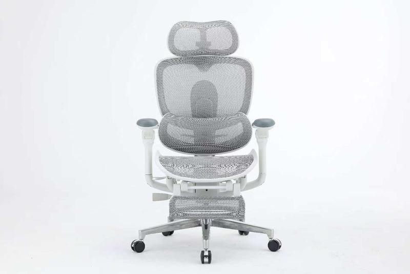 Sihoo Doro C300Pro ultra Executive Ergonomic Office Mesh Chair