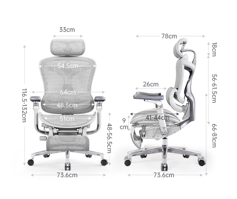 Sihoo Doro C500 Executive Ergonomic Office Mesh Chair