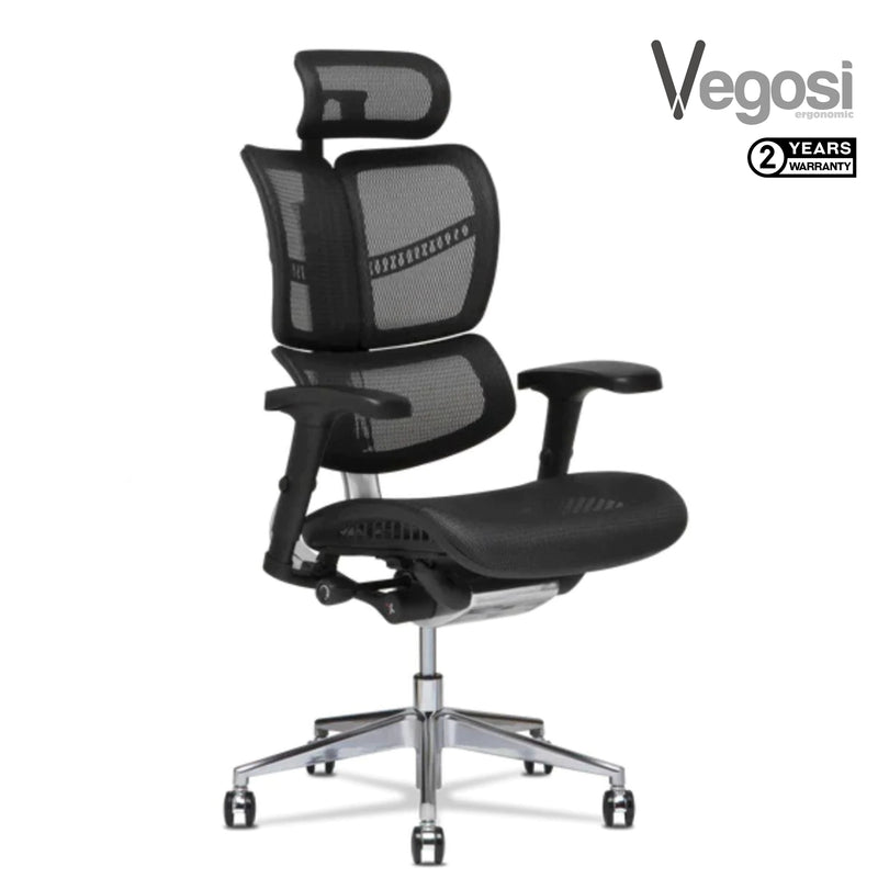 Vegosi Ergonomic Office chair Dragonfly-s