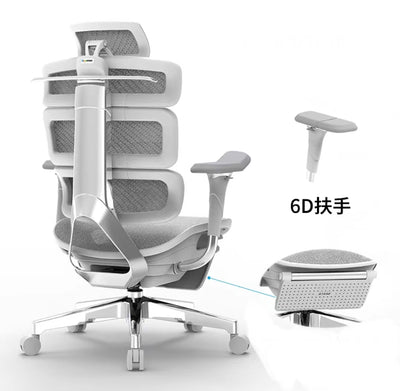 Ergomax Evolution2 Plus ergonomic office chair