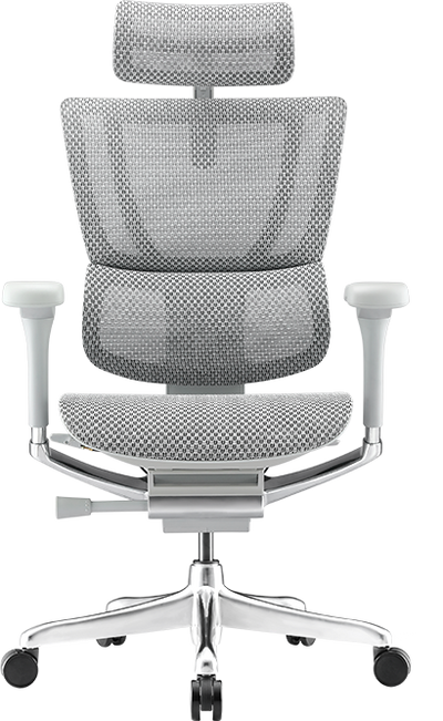 Ergohuman IOO Elite 2.0 Carlos Ergonomic Office Chair