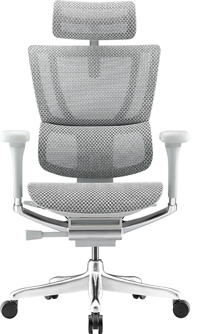 Ergohuman IOO Elite 2.0 Carlos Ergonomic Office Chair