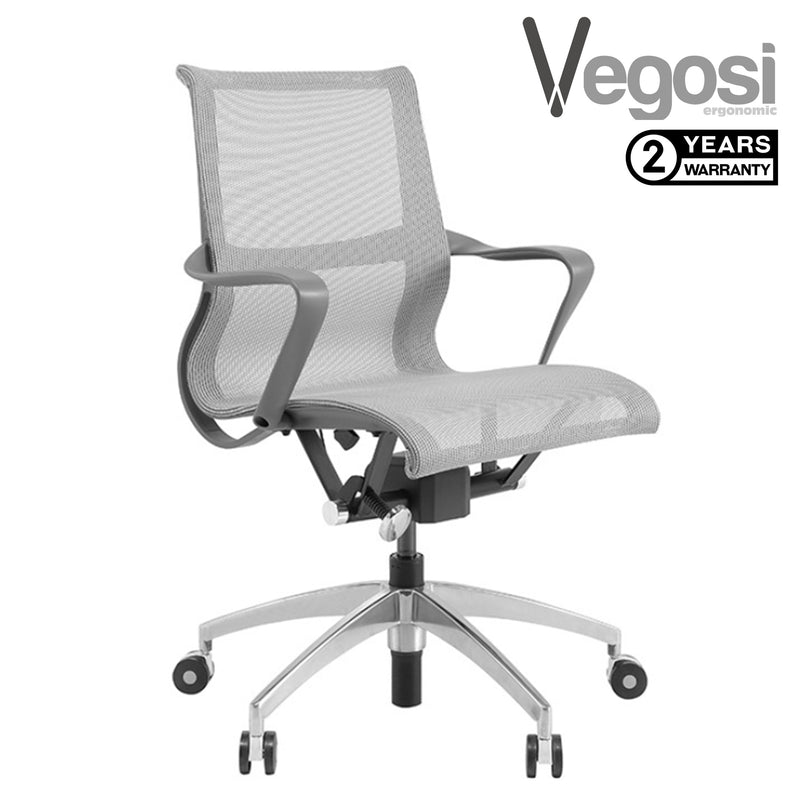 Vegosi Ergonomic Office Chair 313