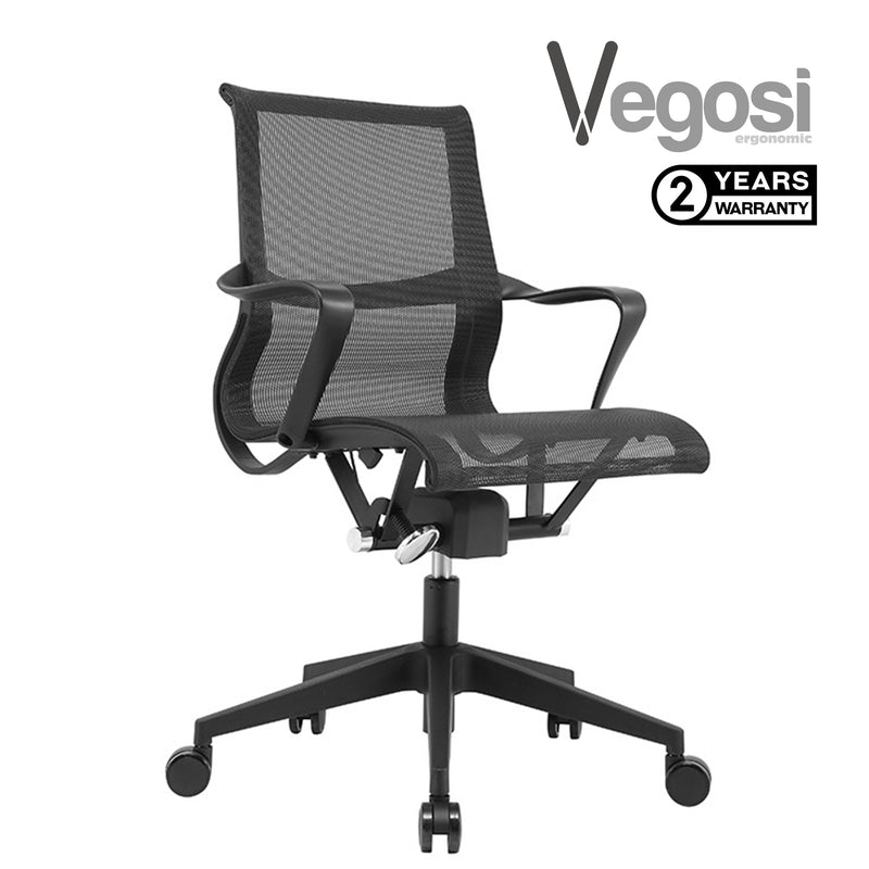 Vegosi Ergonomic Office Chair 313AB