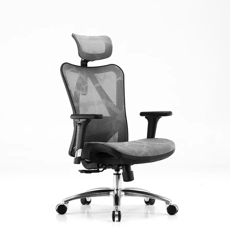 SIHOO M57 High Back Silla Ergonomic Chair Office Chair Black Frame