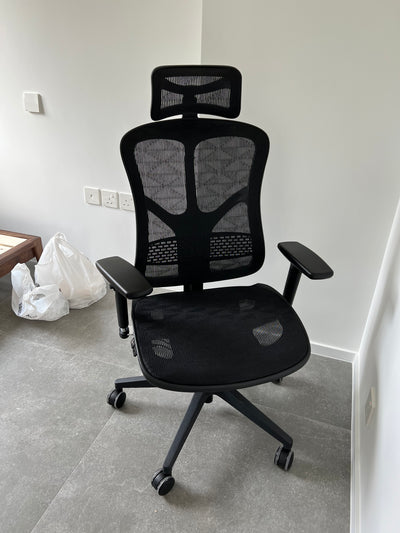 Szeeo Ergonomic Office Chair FI26