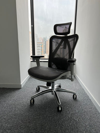 SIHOO M57 High Back Silla Ergonomic Chair Office Chair Grey Frame