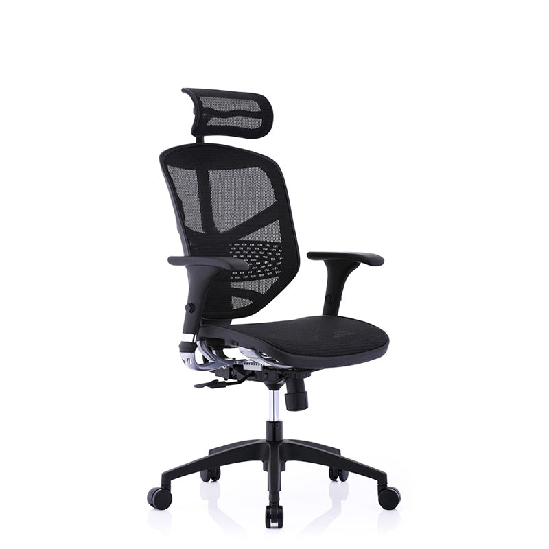 Ergohuman Enjoy Ergonomic Office Chair  (Taiwan)