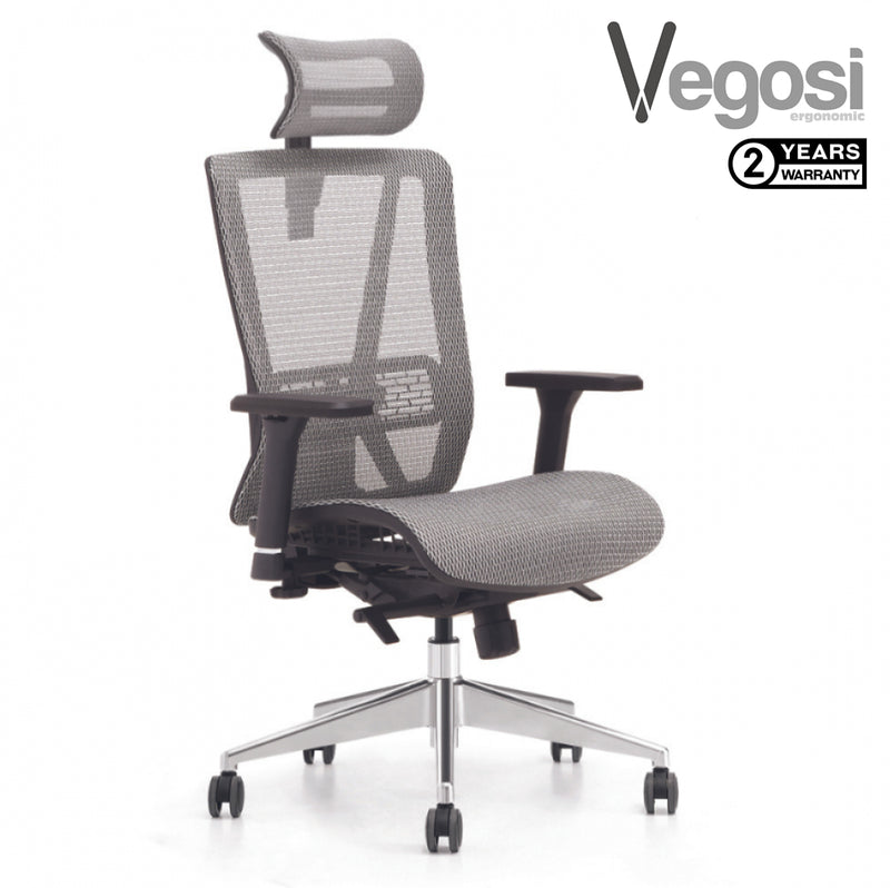 Vegosi Alayla Mesh Ergonomic Office Chair (All Mesh)