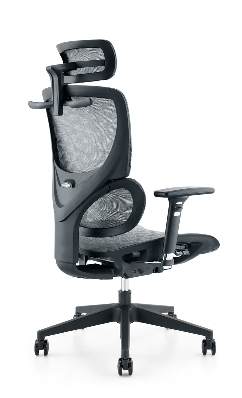 Szeeo Ergonomic Office Chair ON01
