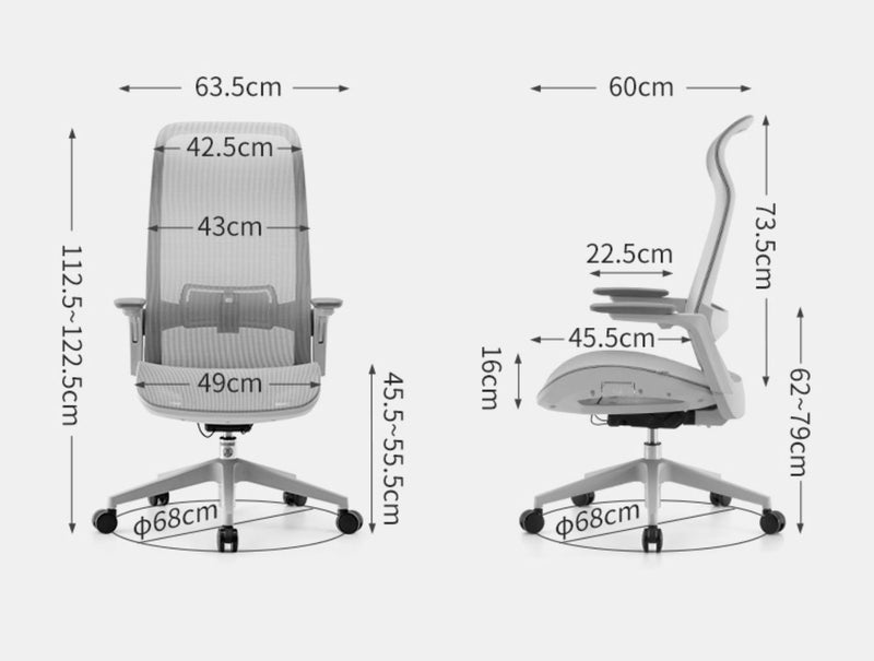 SIHOO M98 Adjustable Office Chair Comfortable Ergonomic Mesh Chair